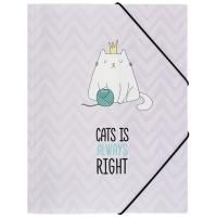 Папка на резинке А4 MESHU "Right cat" 500 мкм RE-MS_39563
