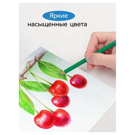 Карандаши цветные ГАММА "Классические" 36 цв заточенные, карт. упаковка, европодвес RE-050918_05_05