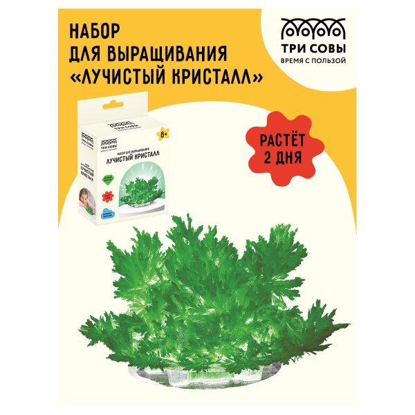 Набор для выращивания кристаллов ТРИ СОВЫ "Лучистый" зеленый RE-ВКл_48897