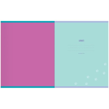 Тетрадь предметная 48л. MESHU "Ученый MISHKA" - Русский язык, матовая ламинация, выборочный УФ-лак, тиснение фольгой RE-MS_47951