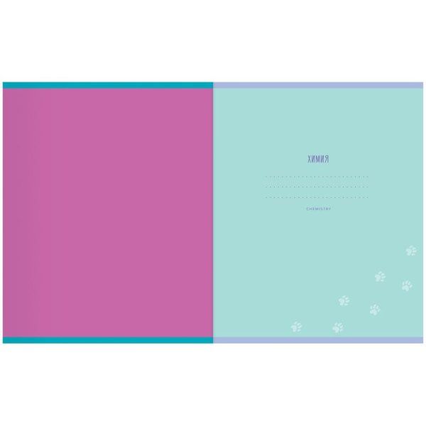 Тетрадь предметная 48л. MESHU "Ученый MISHKA" - Русский язык, матовая ламинация, выборочный УФ-лак, тиснение фольгой RE-MS_47951