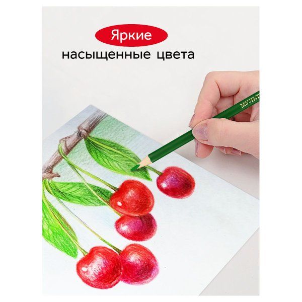 Карандаши цветные ГАММА "Мультики" 24 цв трехгранные, заточенные, карт. упаковка, европодвес RE-290122_24