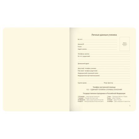 Дневник 1-11 кл. 48л. (твердый) MESHU "Sweety bun" иск. кожа, УФ-печать с глиттером, тиснение фольгой, тон. блок, ляссе RE-MS_49346