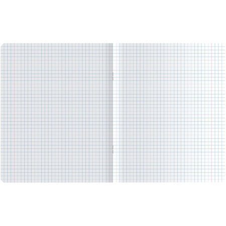 Тетрадь 48л. A5 клетка MESHU "Cute friends" ТВИН-лак RE-MS_31312