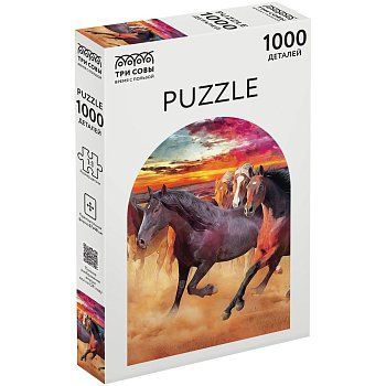 Пазл ТРИ СОВЫ 1000 "Свобода" RE-ПК1000_54669