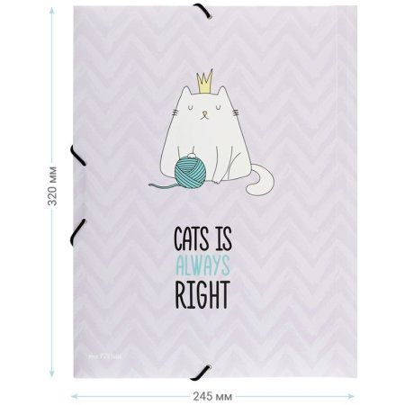 Папка на резинке А4 MESHU "Right cat" 500 мкм RE-MS_39563