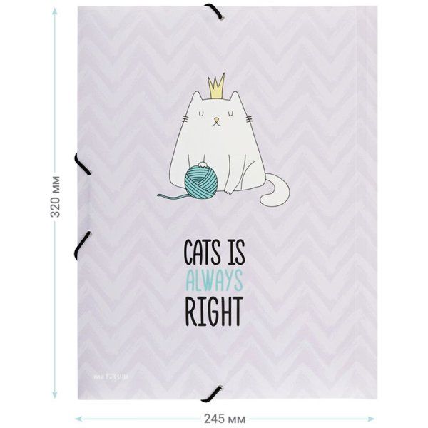 Папка на резинке А4 MESHU "Right cat" 500 мкм RE-MS_39563