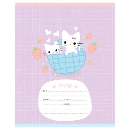 Тетрадь 12л. клетка MESHU "Little kitty" RE-MS_50150/1