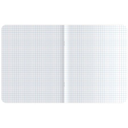 Тетрадь 48л. A5 клетка MESHU "Good boy" ТВИН-лак RE-MS_43104