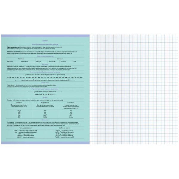 Тетрадь предметная 48л. MESHU "Ученый MISHKA" - Русский язык, матовая ламинация, выборочный УФ-лак, тиснение фольгой RE-MS_47951