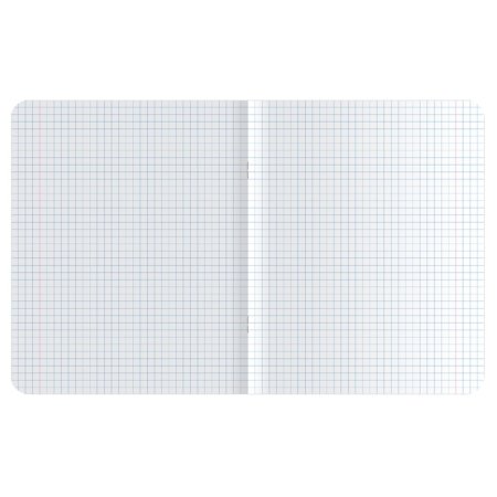 Тетрадь 48л. A5 клетка MESHU "Catbox" матовая ламинация, выборочный УФ-лак RE-MS_43100