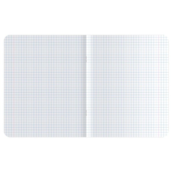 Тетрадь 48л. A5 клетка MESHU "Catbox" матовая ламинация, выборочный УФ-лак RE-MS_43100