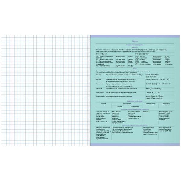 Тетрадь предметная 48л. MESHU "Ученый MISHKA" - Русский язык, матовая ламинация, выборочный УФ-лак, тиснение фольгой RE-MS_47951