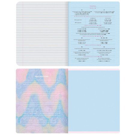 Тетрадь предметная 48л. MESHU "Candy color" - Русский язык, "софт-тач" ламинация, тиснение фольгой RE-MS_42543