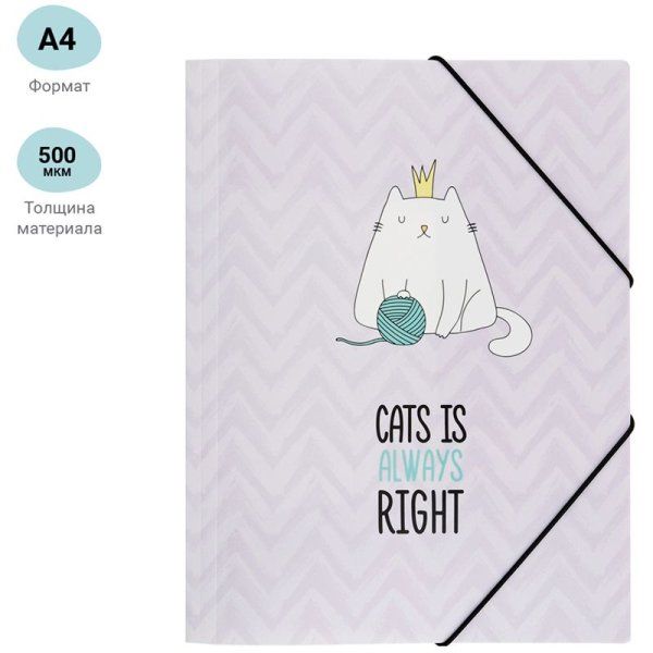 Папка на резинке А4 MESHU "Right cat" 500 мкм RE-MS_39563