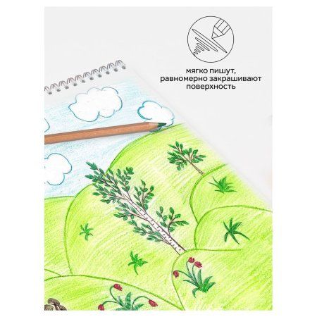 Карандаши цветные ГАММА "Мультики" 24 цв супермягкие, увелич. грифель 4 мм, заточен, картон RE-80220218