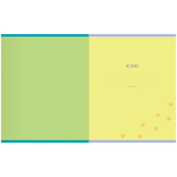 Тетрадь предметная 48л. MESHU "Ученый MISHKA" - Литература, матовая ламинация, выборочный УФ-лак, тиснение фольгой RE-MS_47947