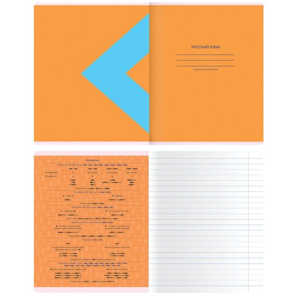 Тетрадь предметная 48л. MESHU "Bright splash" - Русский язык, матовая ламинация, выборочный УФ-лак RE-MS_42563