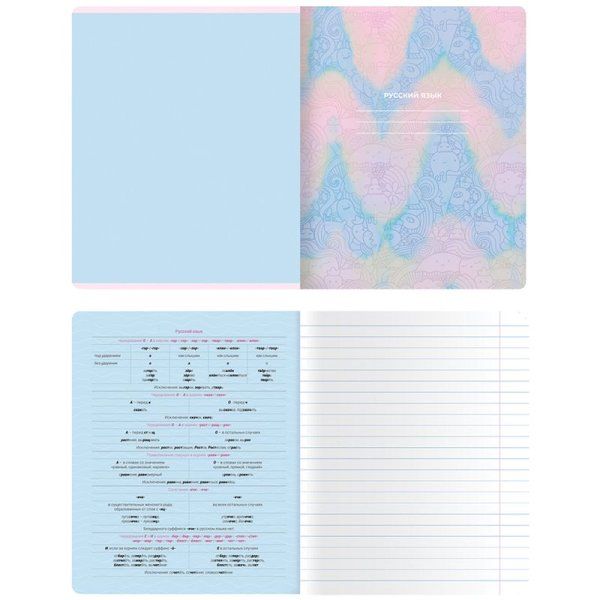 Тетрадь предметная 48л. MESHU "Candy color" - Русский язык, "софт-тач" ламинация, тиснение фольгой RE-MS_42543