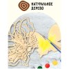 Набор для творчества 3D панно из дерева ТРИ СОВЫ "Бабочка" краски, кисть RE-3D_41951