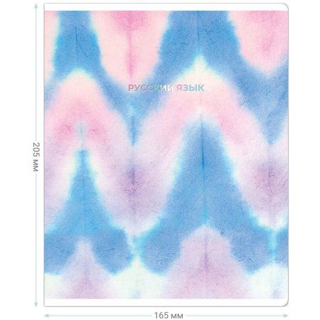 Тетрадь предметная 48л. MESHU "Candy color" - Русский язык, "софт-тач" ламинация, тиснение фольгой RE-MS_42543