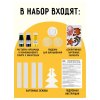 Набор для выращивания кристаллов 3в1 ТРИ СОВЫ "Лучистый. Коралл. Дерево" синий, желтый, зеленый RE-ВКн_48903