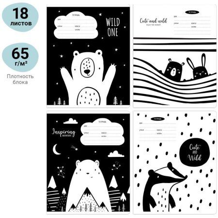 Тетрадь 18л. клетка MESHU "Black&white" RE-MS_43310