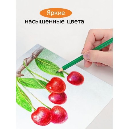 Карандаши цветные ГАММА "Оранжевое солнце" 18 цв (6 классич, 6 неон, 6 пастельн) заточенные, картон, европодвес RE-260220211