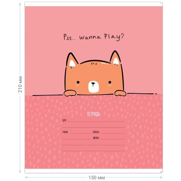 Тетрадь 12л. линия MESHU "Beary Beary" RE-MS_43308