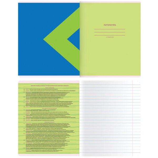 Тетрадь предметная 48л. MESHU "Bright splash" - Литература, матовая ламинация, выборочный УФ-лак RE-MS_42565