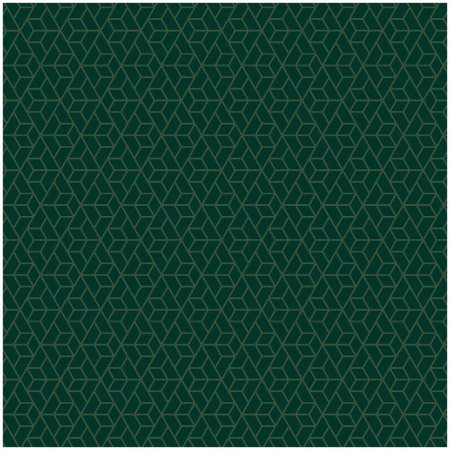 Упаковочная бумага глянцевая MESHU "Dark green" 1л. 70 x 100 см 90 г/м2 RE-М100_41102
