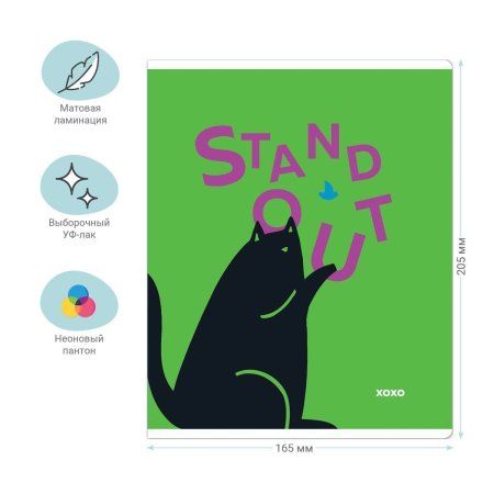 Тетрадь 48л. A5 клетка MESHU "Сhatty cat" матовая ламинация, выб. лак, неоновый пантон RE-MS_49788