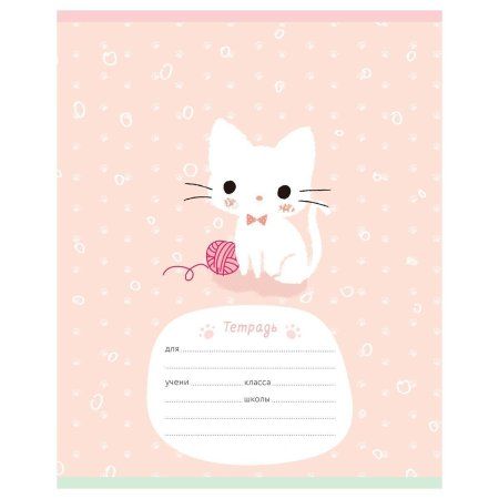 Тетрадь 12л. клетка MESHU "Little kitty" RE-MS_50150/1