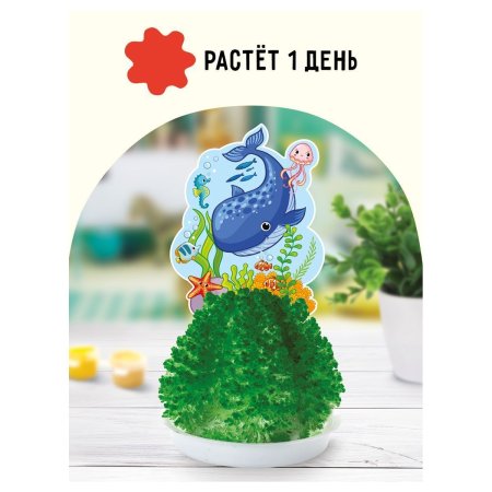 Набор для выращивания кристаллов ТРИ СОВЫ "Подводный мир" зеленый RE-ВКг_48893