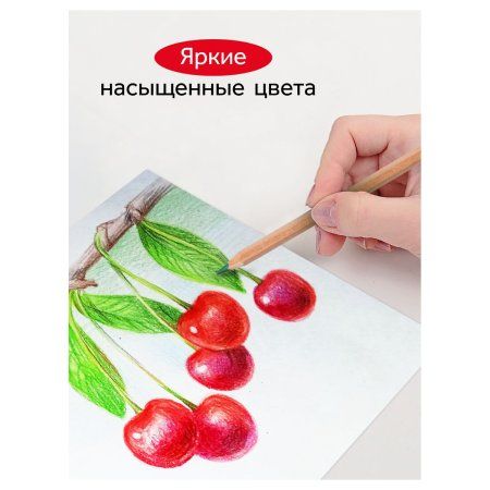 Карандаши цветные ГАММА "Мультики" 12 цв супермягкие, увелич. грифель 4 мм, заточен, картон RE-80220216