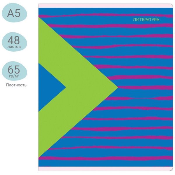 Тетрадь предметная 48л. MESHU "Bright splash" - Литература, матовая ламинация, выборочный УФ-лак RE-MS_42565