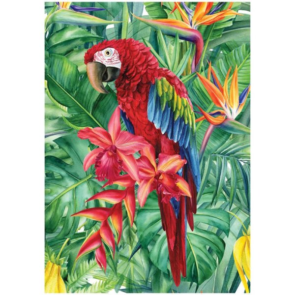 Пазл ТРИ СОВЫ 1000 "Яркий попугай" RE-ПК1000_48377