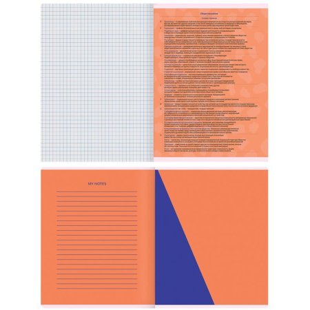 Тетрадь предметная 48л. MESHU "Bright splash" - Обществознание, матовая ламинация, выборочный УФ-лак RE-MS_42559