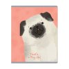 Тетрадь 48л. A5 клетка MESHU "Funny dogs" матовая ламинация, микро sandy-touch лак RE-MS_49772