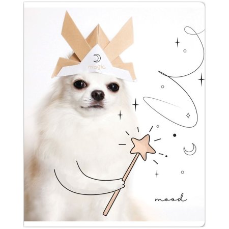 Тетрадь 48л. A5 клетка MESHU "Puppy" глянцевая ламинация RE-MS_43094