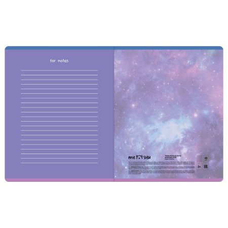 Тетрадь 48л. A5 клетка MESHU "Miumiu" матовая ламинация, тиснение фольгой RE-MS_49766