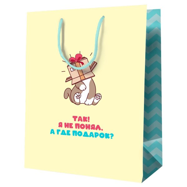 Пакет подарочный 18*23*10см MESHU "А где подарок?", ламинированный RE-MS_52143