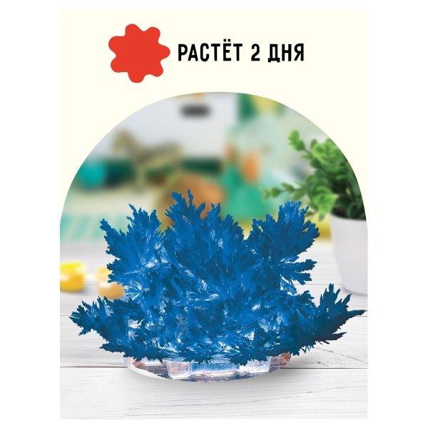 Набор для выращивания кристаллов ТРИ СОВЫ "Лучистый" синий RE-ВКл_48896