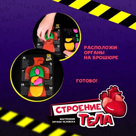 Научно-познавательный набор Re-Агенты "Строение тела" AS-EX101Т