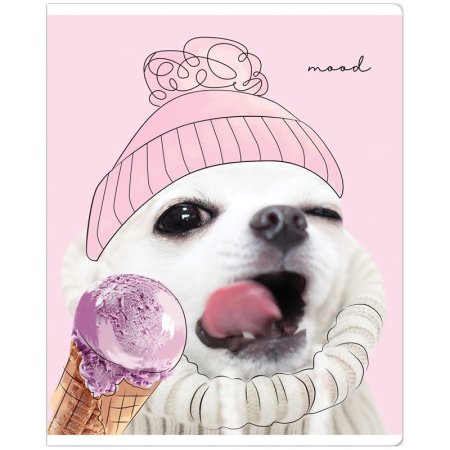 Тетрадь 48л. A5 клетка MESHU "Puppy" глянцевая ламинация RE-MS_43094