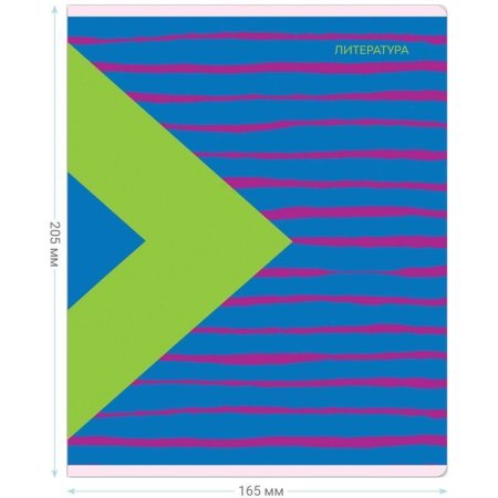 Тетрадь предметная 48л. MESHU "Bright splash" - Литература, матовая ламинация, выборочный УФ-лак RE-MS_42565