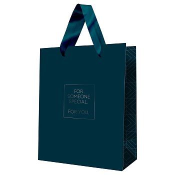 Пакет подарочный 18*23*10см MESHU "Классика стиля", ламинированный RE-MS_52115