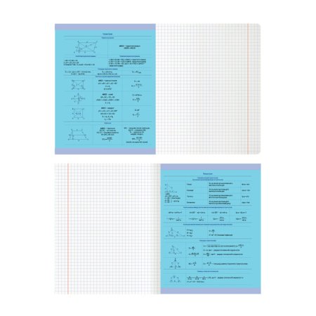 Тетрадь предметная 48л. MESHU "Ученый MISHKA" - Геометрия, матовая ламинация, выборочный УФ-лак, тиснение фольгой RE-MS_47941