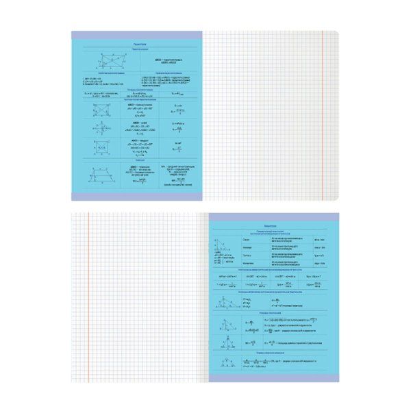Тетрадь предметная 48л. MESHU "Ученый MISHKA" - Геометрия, матовая ламинация, выборочный УФ-лак, тиснение фольгой RE-MS_47941