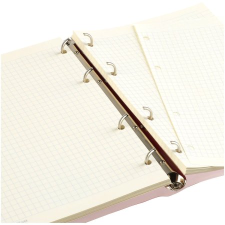 Тетрадь на кольцах 120л. A5 MESHU "Neko" клетка, с пластиковой обложкой RE-MS_50663